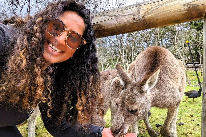 Penguin Parade, & Wildlife Encounters Eco Tour from Melbourne - Who will enjoy this Phillip Island day trip