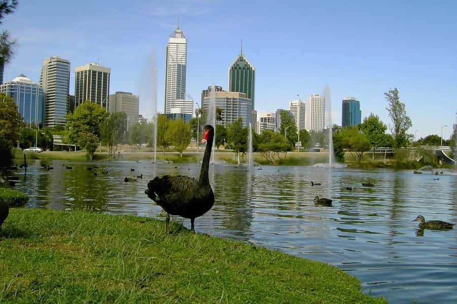 Perth Riverside Segway Tour - Elizabeth Quay from a moving viewpoint