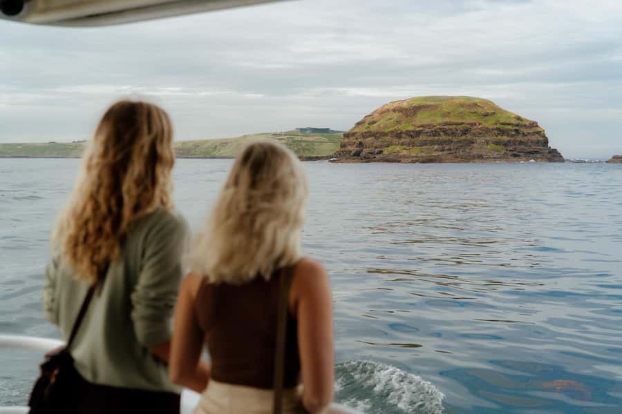 Philip Island: Seal Watching Cruise - From Cowes to the open coast