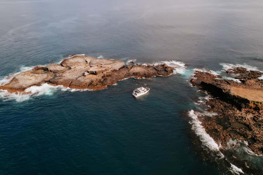 Philip Island: Seal Watching Cruise - A boat designed for viewing, not just transport