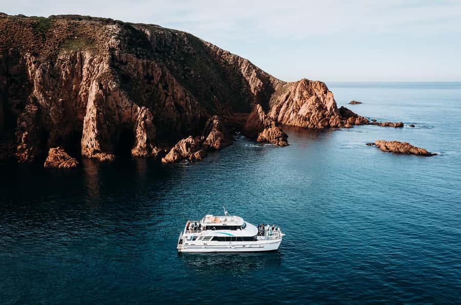 Phillip Island: 1-Hour Cape Woolamai Scenic Cruise - Wildlife watching without false promises