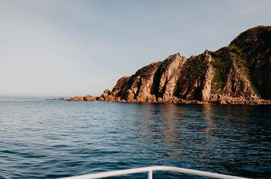 Phillip Island: 1-Hour Cape Woolamai Scenic Cruise - Tea, coffee and cake at sea