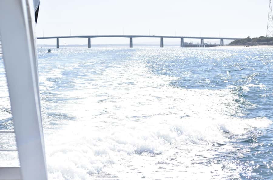 Phillip Island: 1-Hour Cape Woolamai Scenic Cruise - Value at $34 per person
