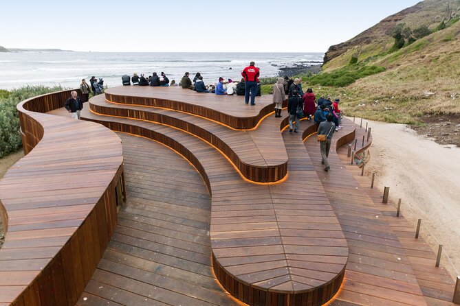 Phillip Island Day Trip from Melbourne with Penguin Plus Viewing Platform - Is $172.14 a fair price?