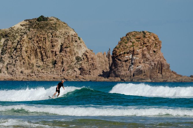 Phillip Island Day Trip from Melbourne with Penguin Plus Viewing Platform - Who will enjoy this Phillip Island outing?