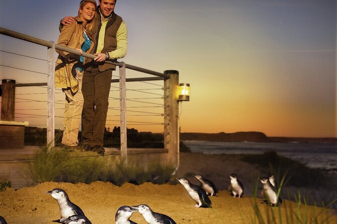Phillip Island & Penguin Parade Afternoon Eco Tour from Melbourne - Crossing to Phillip Island with a small group