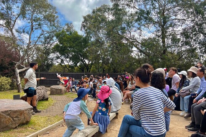 Phillip Island Penguins & Wildlife Day Tour from Melbourne - The Nobbies offers the best coastal views