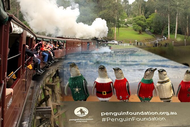 Phillip Island Penguins & Wildlife Day Tour from Melbourne - Food, breaks, and what to pack