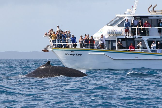 Phillip Island Seal-Watching Cruise - Indoor comfort or top-deck views