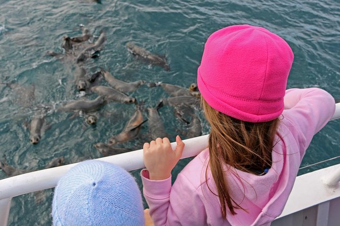 Phillip Island Seal-Watching Cruise - Who will enjoy this cruise most?