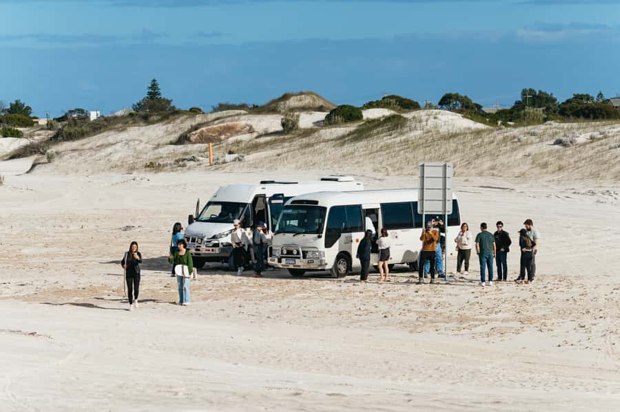 Pinnacles Desert: Sunset BBQ & Stargazing Tour +Sandboarding - Wildlife and the chance of a surprise encounter