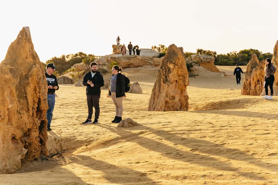 Pinnacles Desert: Sunset BBQ & Stargazing Tour +Sandboarding - What the $176 price really covers
