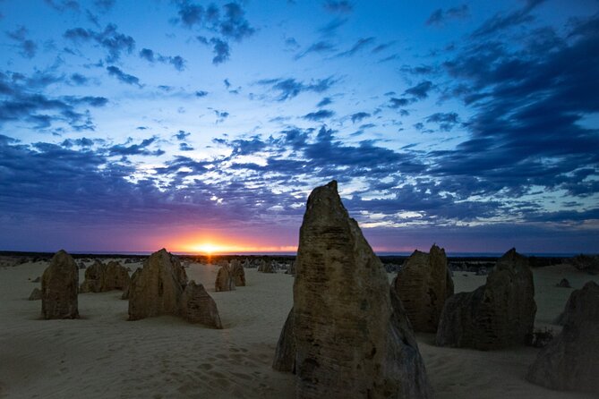 Pinnacles Desert Sunset Dinner and Stargazing Tour - Barbecue dinner under the night sky