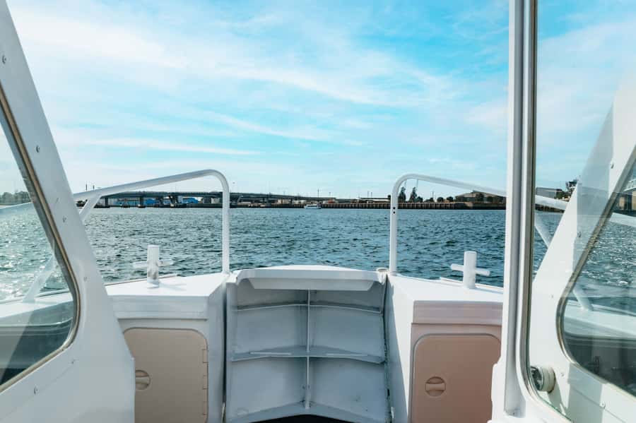 Port Adelaide: Dolphin and Ships Graveyard Cruise - Practical booking advice for your day