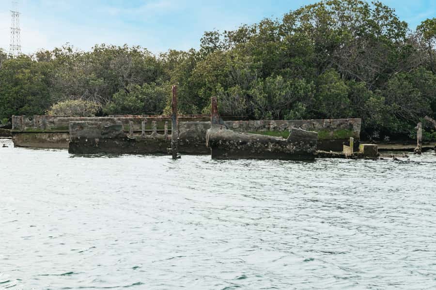 Port Adelaide: Dolphin and Ships Graveyard Cruise - The commentary is a major part of the value