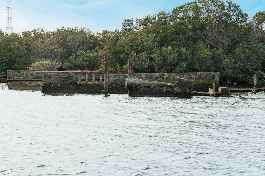 Port Adelaide: Dolphin and Ships Graveyard Cruise - Comfort, weather and what to bring