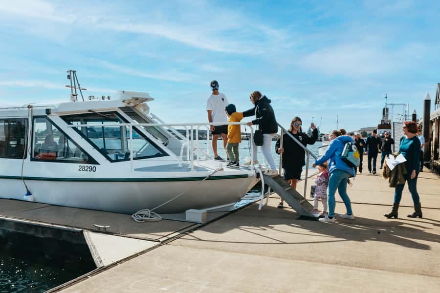 Port Adelaide: Dolphin and Ships Graveyard Cruise - Who should book this cruise?