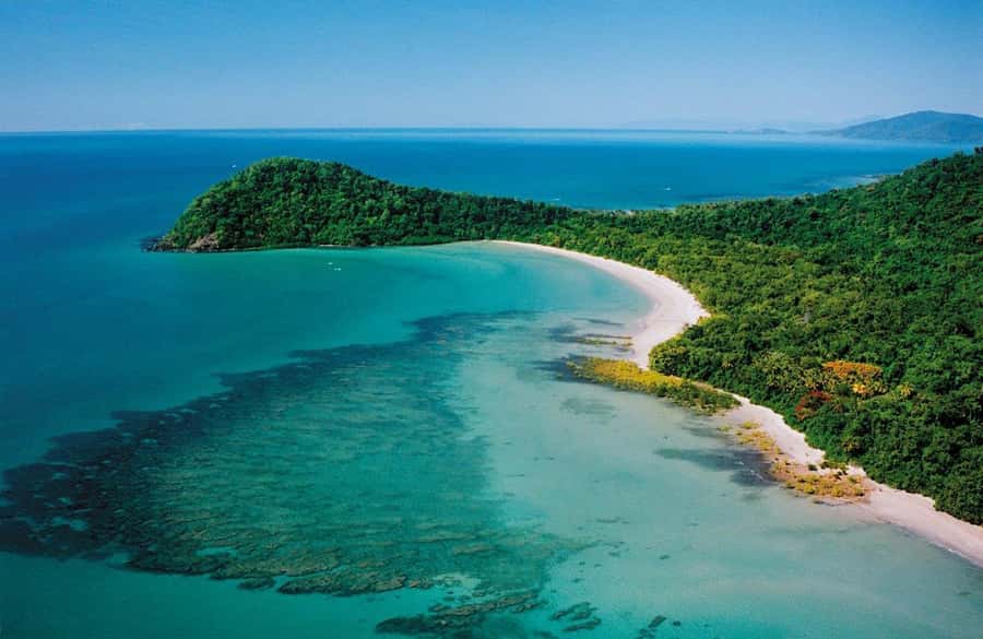 Port Douglas: Daintree Rainforest and Mossman Gorge Tour - Morning tea and the Daintree River cruise