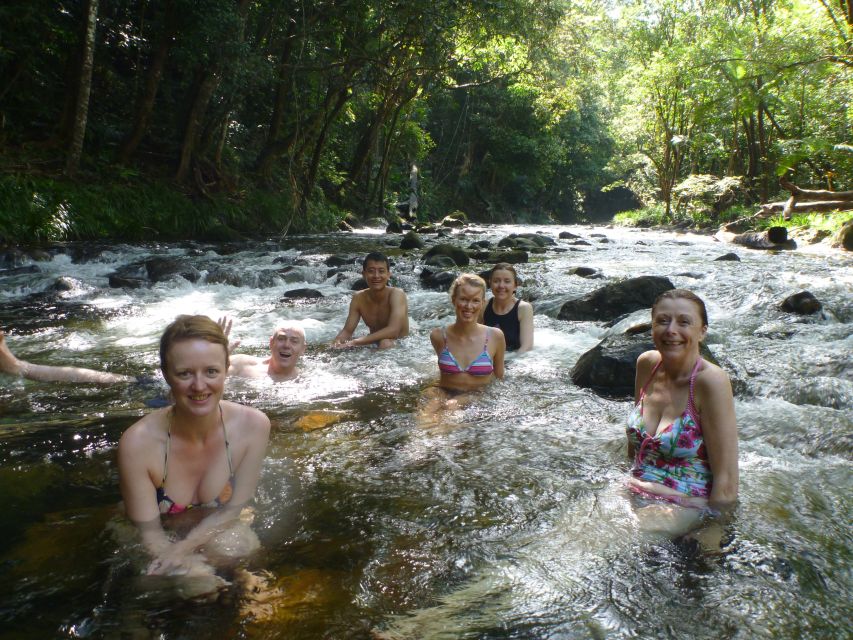 Port Douglas: Daintree Rainforest and Mossman Gorge Tour - A freshwater swim before lunch