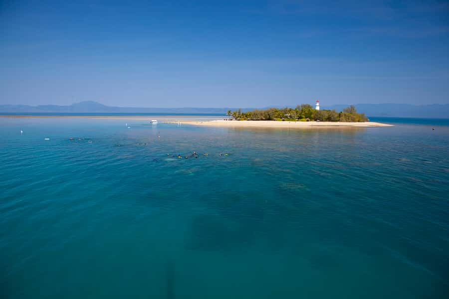 Port Douglas: Low Isles Glass Bottom Boat & Snorkeling Tour - What you can see beneath the glass