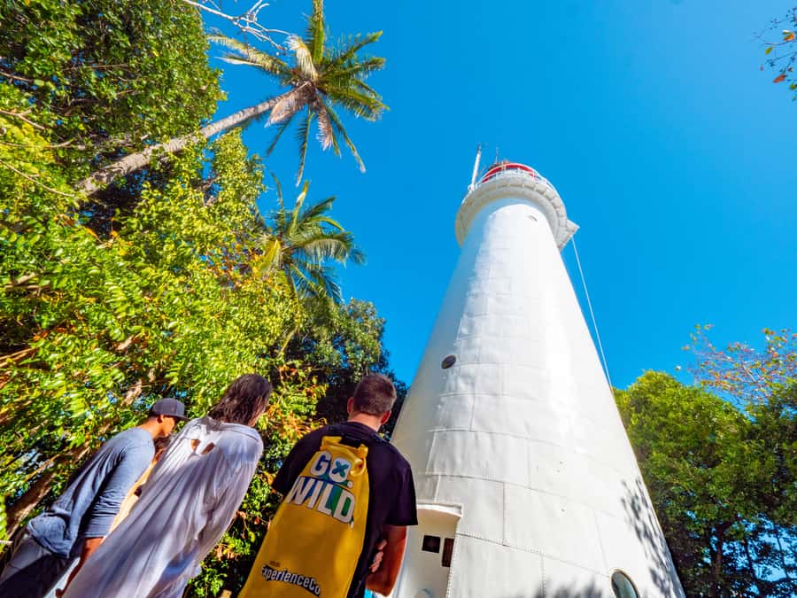 Port Douglas: Low Isles Glass Bottom Boat & Snorkeling Tour - Is the $135 price fair?