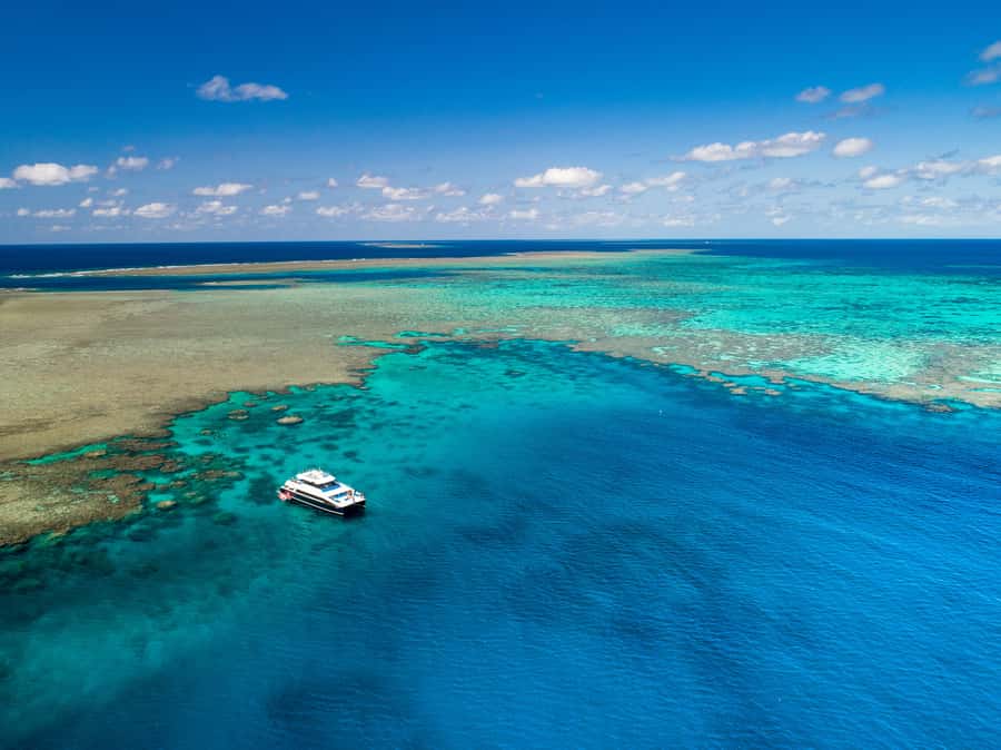 Port Douglas: Outer Barrier Reef Snorkel and Dive Options - Leaving Port Douglas on a spacious catamaran