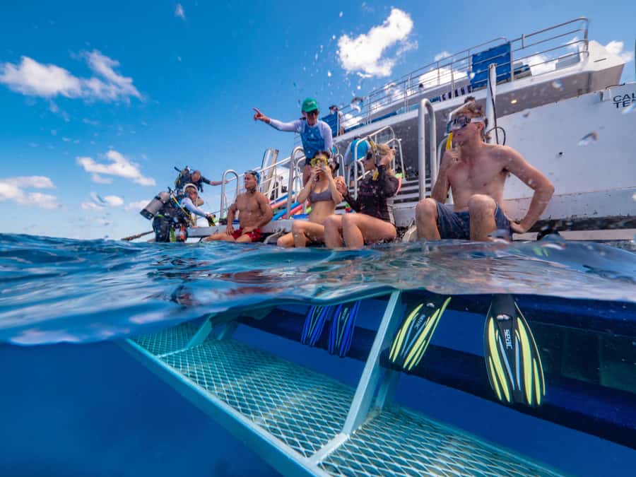 Port Douglas: Outer Barrier Reef Snorkel and Dive Options - The second and third reef sites