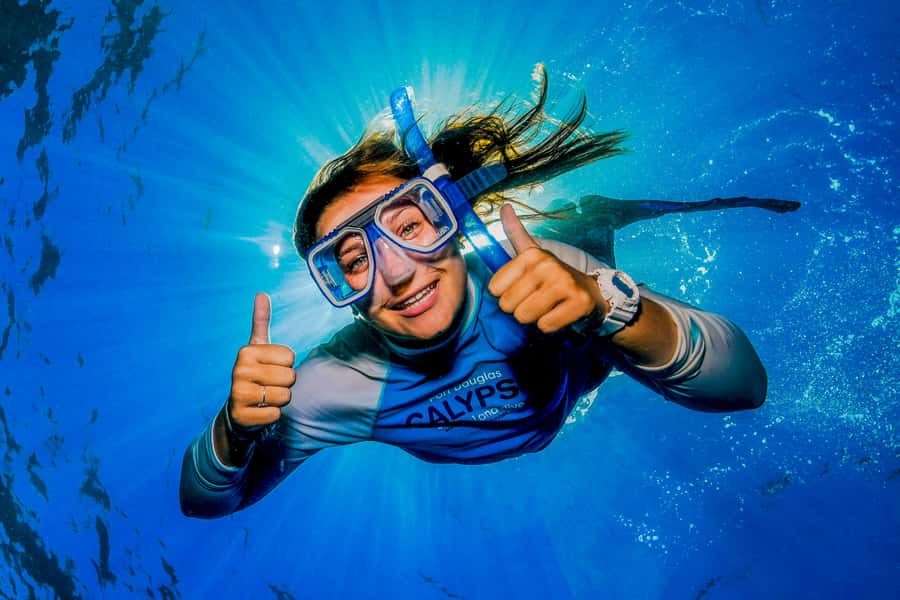 Port Douglas: Outer Barrier Reef Snorkel and Dive Options - Should you book the Port Douglas reef trip?