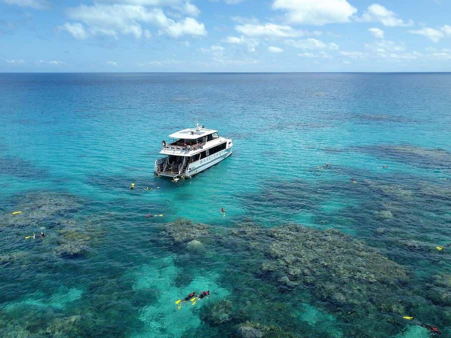 Port Douglas: Outer Great Barrier Reef Snorkeling Cruise - The 90-minute run from Port Douglas