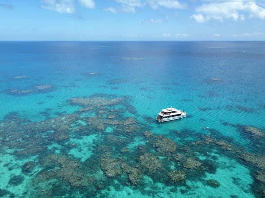 Port Douglas: Outer Great Barrier Reef Snorkeling Cruise - Second site: a guided look at the details