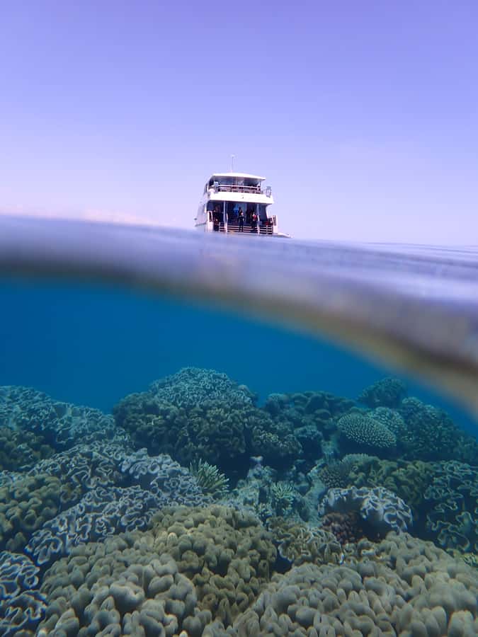 Port Douglas: Outer Great Barrier Reef Snorkeling Cruise - Who should book, and who should skip it