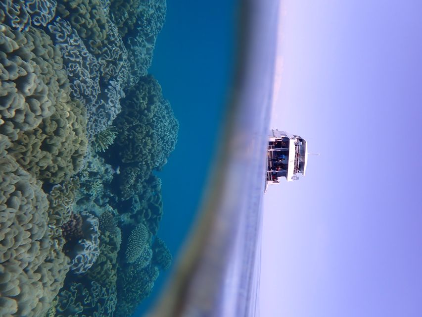 Port Douglas: Outer Great Barrier Reef Snorkeling Cruise - What to bring for a better day