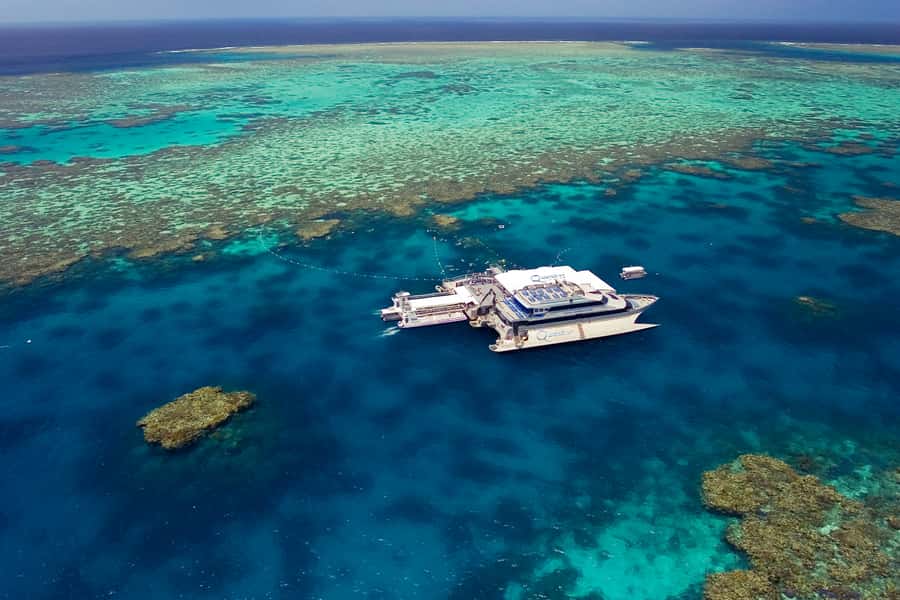 Port Douglas: Quicksilver Outer Barrier Reef Full-Day Cruise - Three and a half hours at the reef platform
