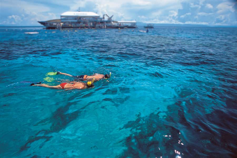 Port Douglas: Quicksilver Outer Barrier Reef Full-Day Cruise - Group size, accessibility, and crew support