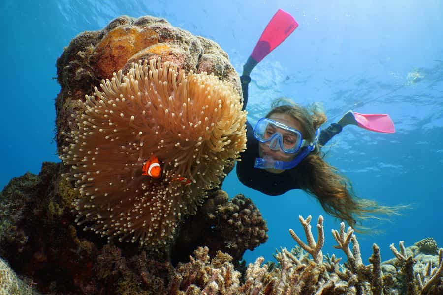 Port Douglas: Quicksilver Outer Barrier Reef Full-Day Cruise - The 1.5-hour catamaran ride from Port Douglas