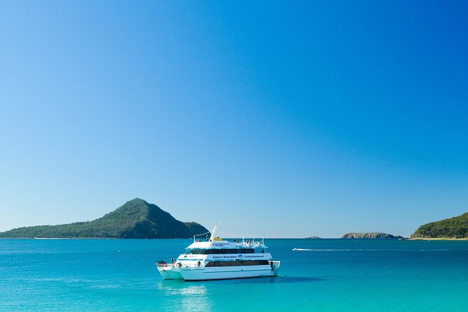 Port Stephens: Dolphin Discovery Cruise - Moonshadow V: room, shelter, and trade-offs