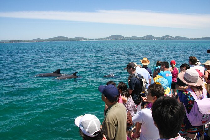 Port Stephens: Dolphin Discovery Cruise - Who will enjoy this cruise most