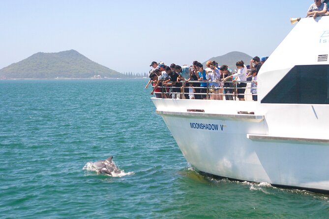 Port Stephens: Dolphin Discovery Cruise - The eastern harbour and the two headlands
