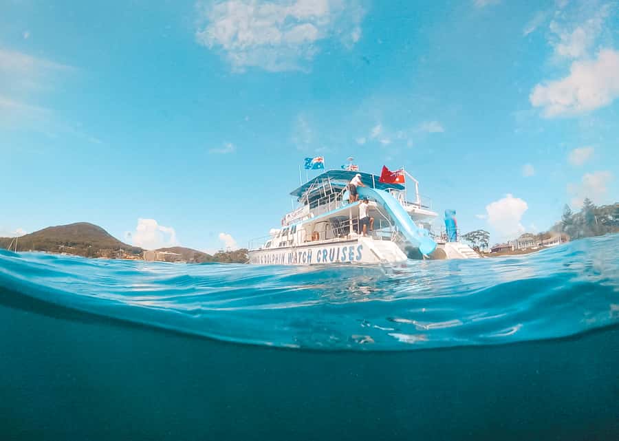 Port Stephens: Dolphin Watch Cruise with Swimming and Slides - Searching the harbour for resident dolphins