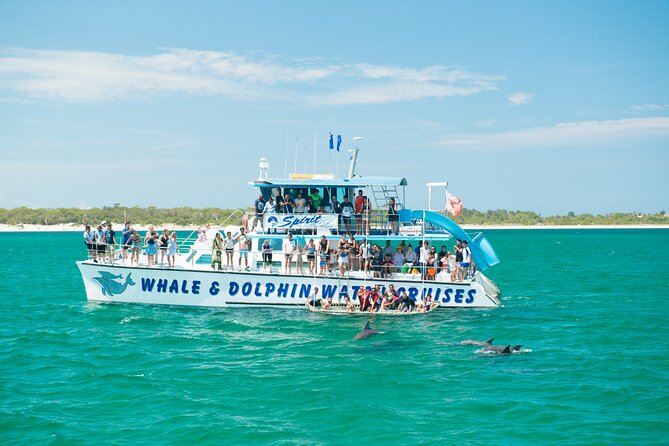 Port Stephens: Splash 'n' Slide Dolphin Cruise - Dolphins and a waterslide in the same two hours