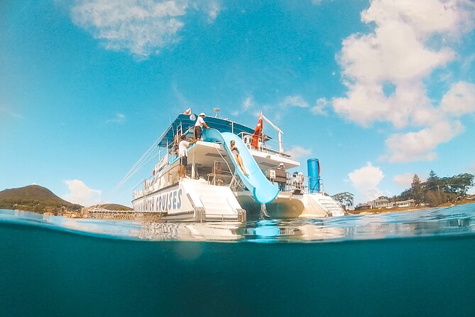 Port Stephens: Splash 'n' Slide Dolphin Cruise - What the dolphin search is really like