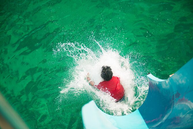 Port Stephens: Splash 'n' Slide Dolphin Cruise - A good match for families and teenagers