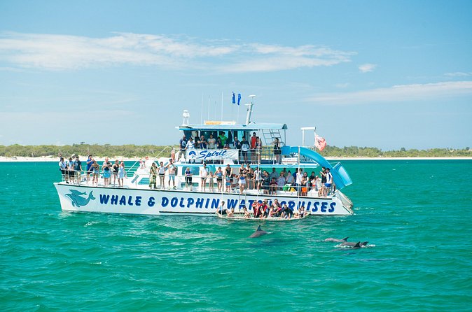 Port Stephens: Splash 'n' Slide Dolphin Cruise - Weather, dolphin sightings, and expectations