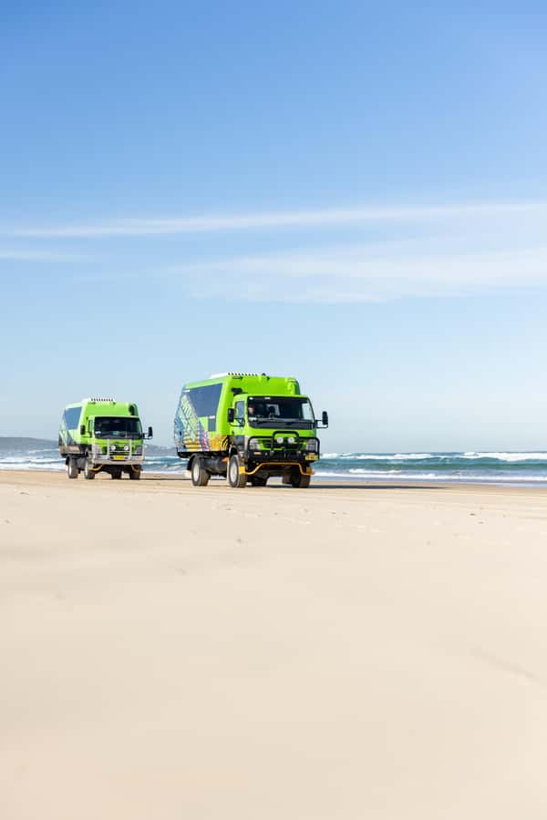 Port Stephens: Unlimited Sandboarding & 4WD Sand Dune Tour - Is $30 good value?