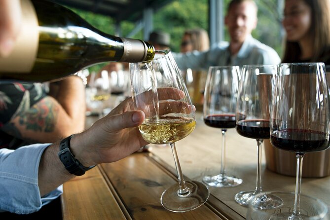 Premium Hunter Valley Wine Tour with Lunch from Sydney - Value at €159.25 per person