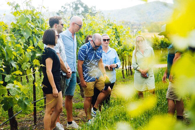Premium Hunter Valley Wine Tour with Lunch from Sydney - Who will enjoy this Hunter Valley day trip