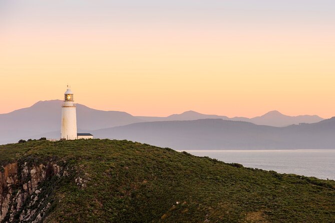 Private Wine and Beverage Tours in Tasmania - Tastings, lunch, and what you pay for