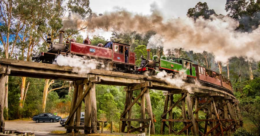Puffing Billy Railway: Heritage Steam Train Journey - Is the $29 price good value?
