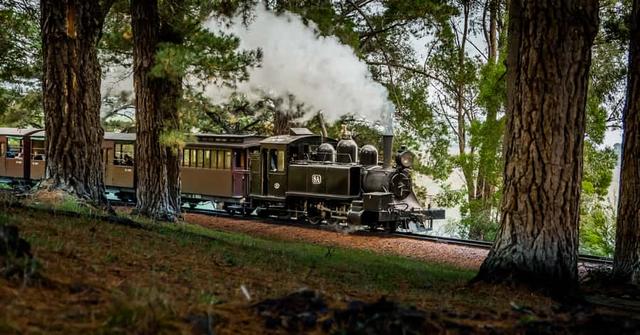 Puffing Billy Railway: Heritage Steam Train Journey - Choosing between Belgrave and Lakeside