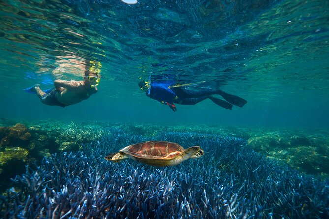 Quicksilver Great Barrier Reef Snorkel Cruise from Port Douglas - From Port Douglas to the outer reef